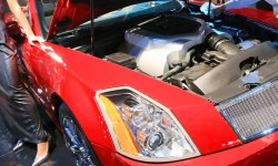 Etiam dictum egestas